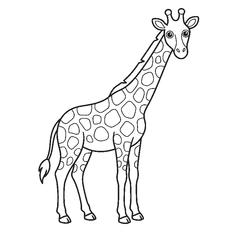 Een giraf staat met het lichaam opzij en de kop naar de kijker gedraaid, met twee ronde ogen, een lange nek, twee hoornknobbels en grote hoekige vlekken, in zwarte lijnen op een witte achtergrond.