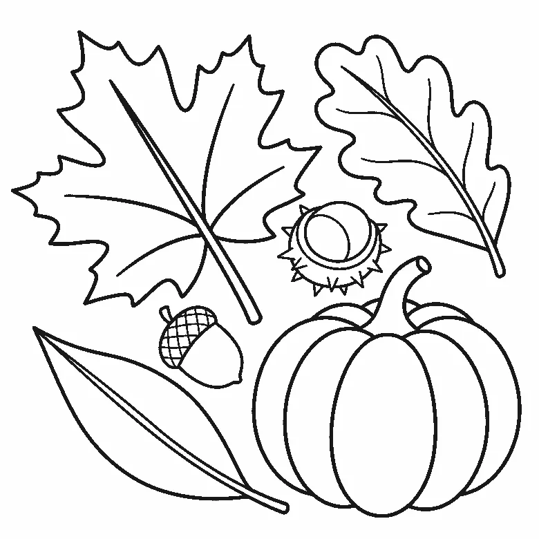 Herfstbladeren van esdoorn en eik liggen samen met een eikel, een kastanje in een stekelige bolster en een grote ribbelpompoen met een gekrulde steel, getekend in zwarte lijnen op een witte achtergrond.