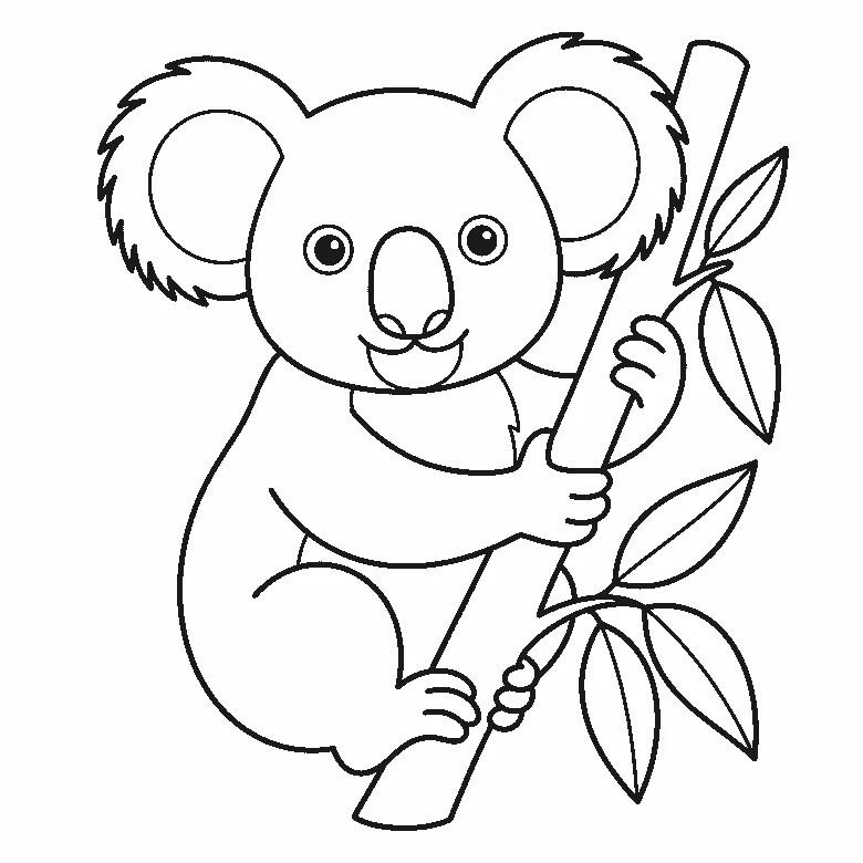 Een koala klemt zich vast aan een tak en kijkt naar voren, met twee ogen, ronde oren met een randje haartjes, een neus en bladeren op de tak, in zwarte lijnen op een witte achtergrond.