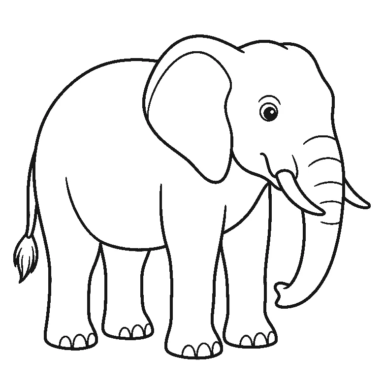 Een olifant staat met de kop licht naar de kijker gedraaid, met één zichtbaar oog, een groot oor, een gekrulde slurf met plooien en twee kleine slagtanden, in zwarte lijnen op een witte achtergrond.